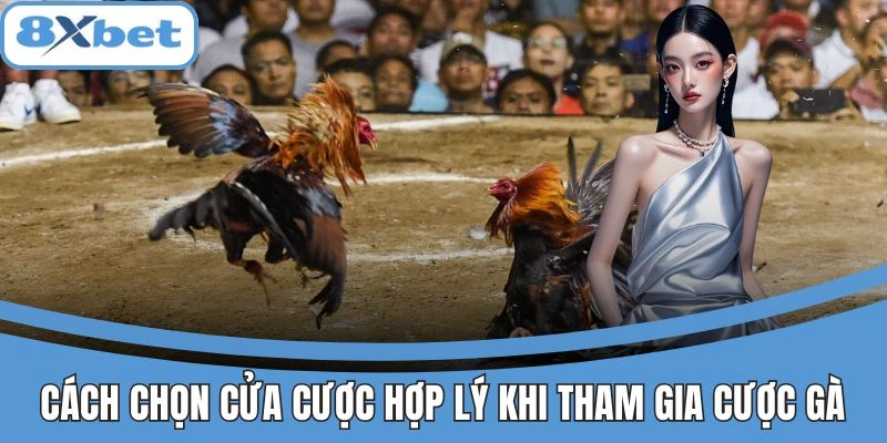 Cách chọn cửa cược hợp lý khi tham gia cược gà
