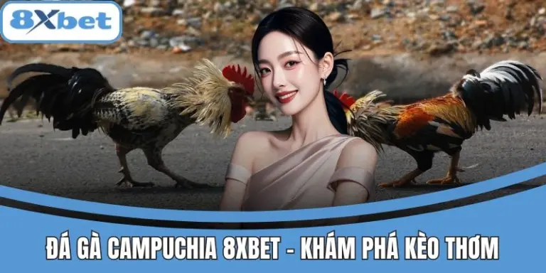Đá Gà Campuchia 8xbet - Khám Phá Kèo Thơm Lợi Nhuận Cao 6 Đá Gà Campuchia 8xbet - Khám Phá Kèo Thơm Lợi Nhuận Cao