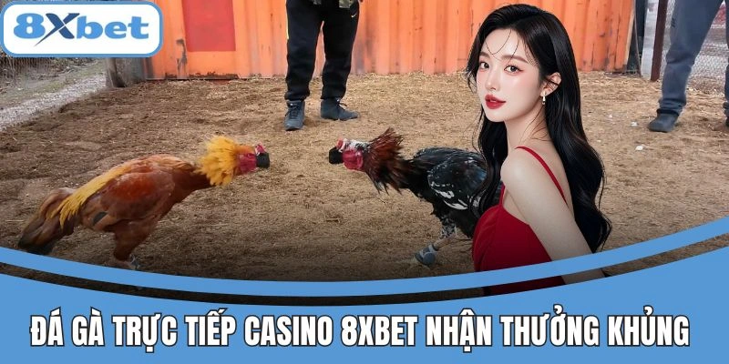 Đá Gà Trực Tiếp Casino 8xbet Mãn Nhãn, Nhận Thưởng Khủng 1 Đá gà trực tiếp Casino 8xbet mãn nhãn, nhận thưởng khủng