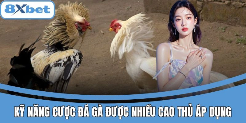 Kỹ năng cược đá gà được nhiều cao thủ áp dụng