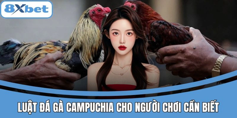 Luật đá gà Campuchia cho người chơi cần biết