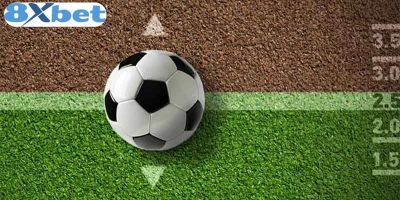 Tỷ Lệ Kèo Malaysia 8xbet Luôn Chuẩn Xác, Dễ Đọc, Dễ Soi 3 Nắm bắt cách đọc hệ số Malaysia 8xbet