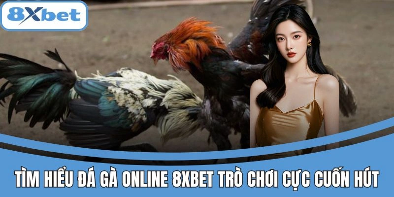Trò chơi đá gà online hấp dẫn tại 8xbet