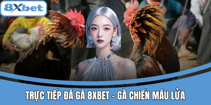 Trực tiếp đá gà 8xbet hấp dẫn, kịch tính từng trận
